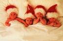 les ptits bébés !